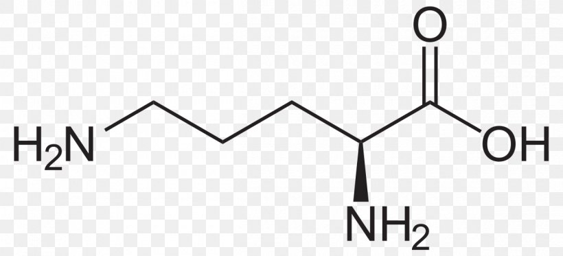 Methionine Amino Acid Glutamine Cysteine Tyrosine, PNG, 1200x546px, Methionine, Amino Acid, Area, Aspartic Acid, Black And White Download Free