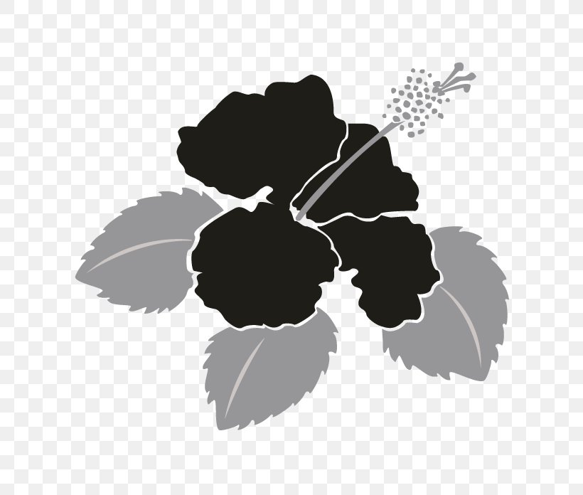 Monochrome Photography Flower Petal, PNG, 696x696px, Monochrome Photography, Black And White, Flower, Flowering Plant, Leaf Download Free