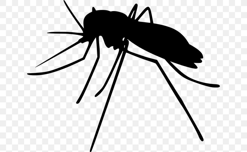 Mosquito Insect Silhouette Sticker Vector, PNG, 640x505px, Mosquito, Beetle, Fly, Heartworm, Insect Download Free