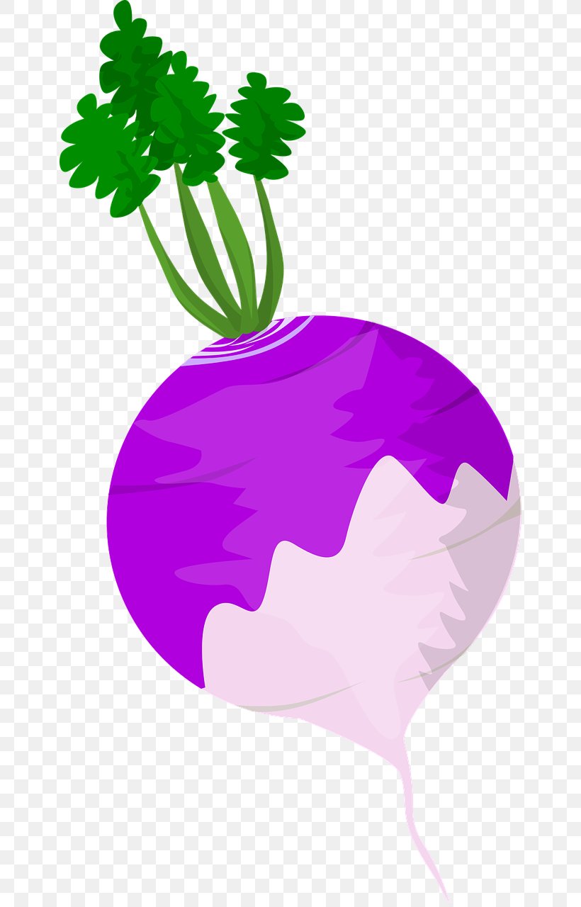 Leaf Vegetable Turnip Root Vegetables, PNG, 652x1280px, Vegetable, Fictional Character, Flora, Flower, Flowering Plant Download Free
