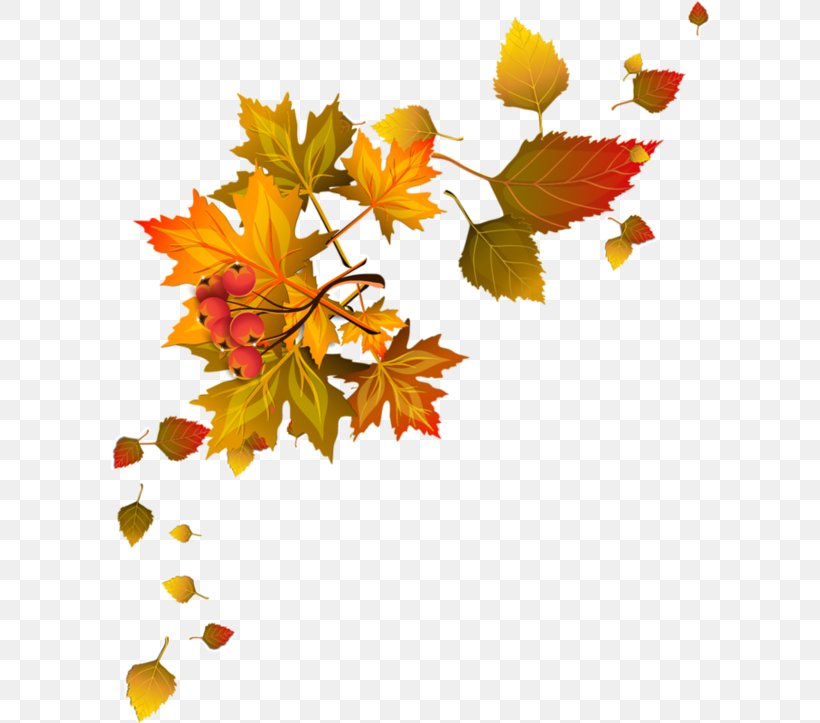 Paper Leaf Clip Art, PNG, 600x723px, Paper, Autumn, Blog, Branch, Floral Design Download Free