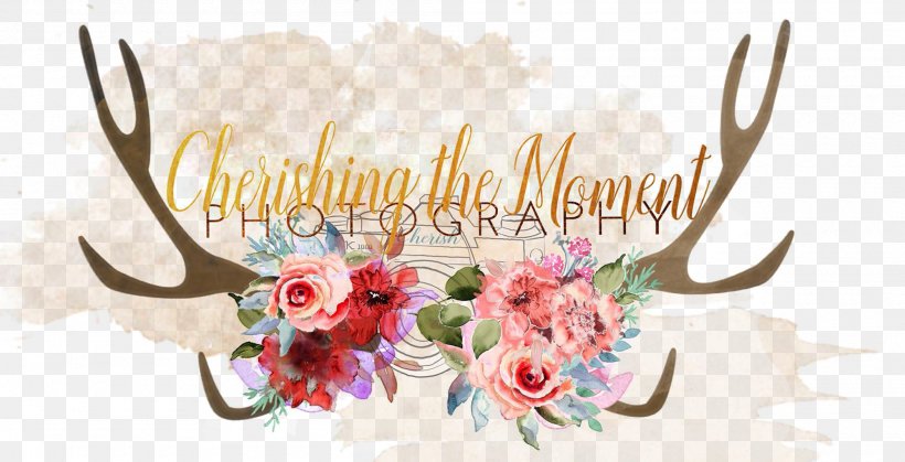 Photography Zenfolio Fotolia Floral Design Setmore Appointments, PNG, 2000x1022px, Photography, Antler, Blog, Floral Design, Flower Download Free