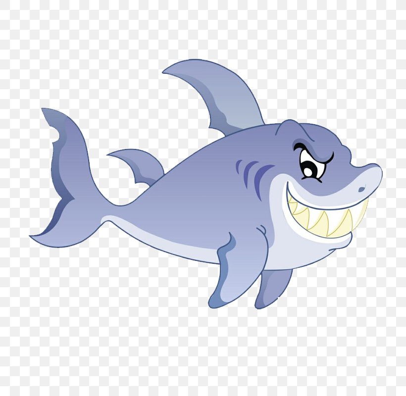 Shark, PNG, 800x800px, Shark, Cartilaginous Fish, Cartoon, Computer Graphics, Dolphin Download Free