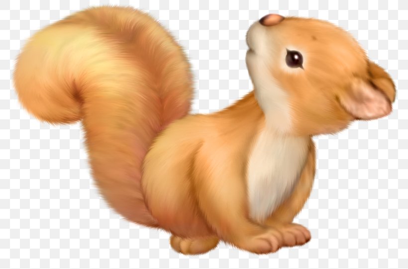 Eastern Gray Squirrel American Red Squirrel Clip Art, PNG, 800x541px, Squirrel, American Red Squirrel, Animal Figure, Canidae, Cartoon Download Free