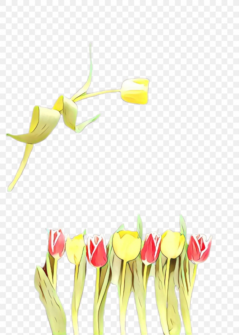 Flowers Background, PNG, 1692x2368px, Tulip, Anthurium, Arum, Arum Family, Blossom Download Free