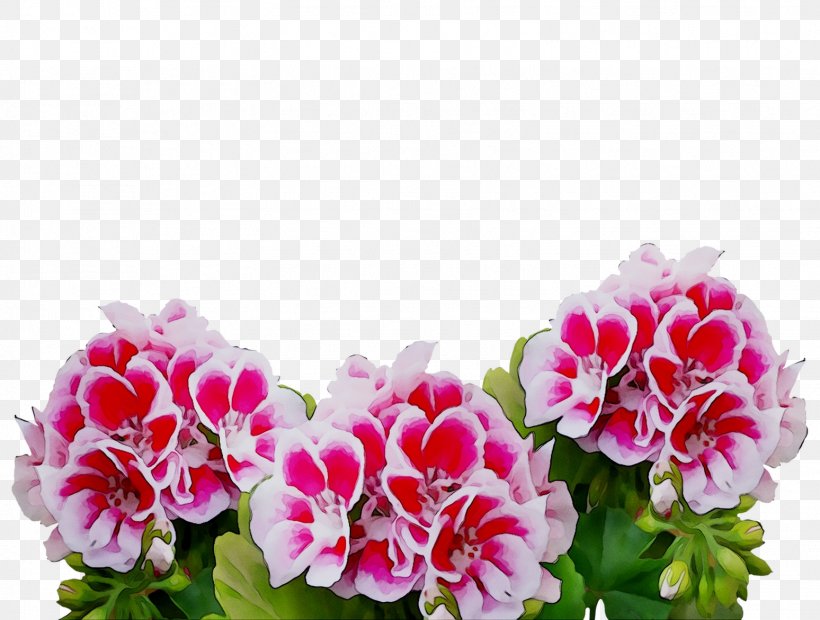 Image Stock.xchng Photograph Download, PNG, 1548x1171px, Plants, Bouquet, Cornales, Cranesbill, Dianthus Download Free