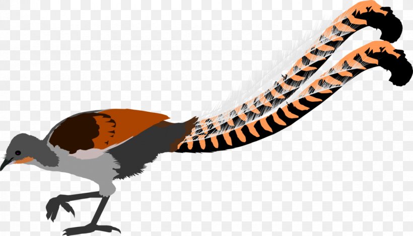 Superb Lyrebird Reptile Atlantic Puffin Clip Art, PNG, 1181x676px, Superb Lyrebird, Animal, Animal Figure, Atlantic Puffin, Beak Download Free