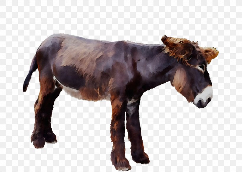 Animal Figure Terrestrial Animal Horse Burro Pony, PNG, 1280x907px, Watercolor, Animal Figure, Burro, Horse, Livestock Download Free