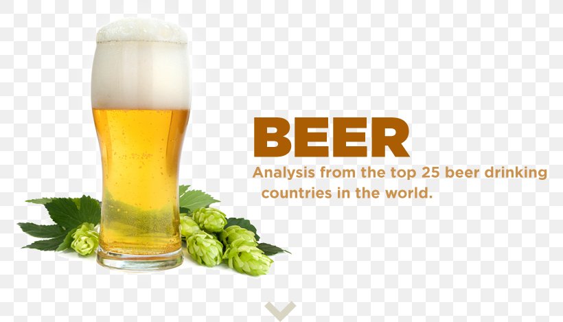 Beer Brewing Grains & Malts Lager Charming Spice 麻辣诱惑 Craft Beer, PNG, 774x469px, Beer, Alcoholic Drink, Beer Brewing Grains Malts, Beer Glass, Beer Style Download Free