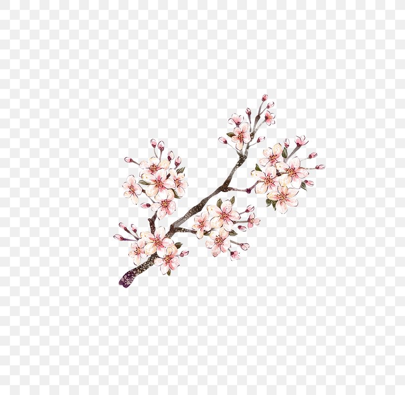Download Plum Blossom Red, PNG, 800x800px, Plum Blossom, Blossom, Branch, Cherry Blossom, Color Download Free