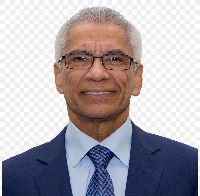 Michael B. Medline Business Deloitte Zambia Chief Executive, PNG, 800x804px, Business, Audit, Businessperson, Chief Executive, Chin Download Free