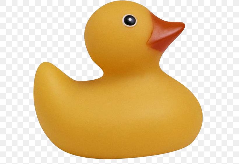 Rubber Duck Toy Clip Art, PNG, 591x563px, Duck, Baby Rattle, Bathing, Bathroom, Bathtub Download Free