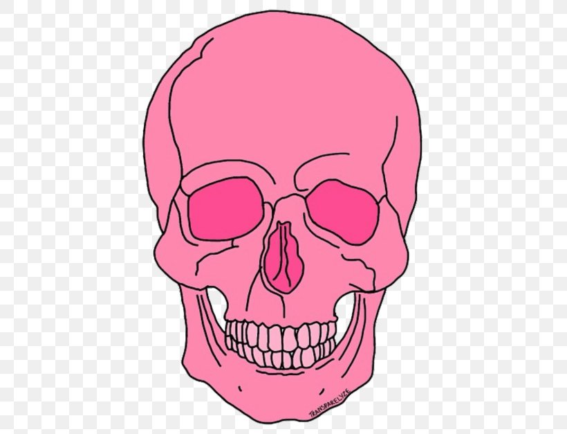 Skull Skeleton Overlay, PNG, 500x627px, Watercolor, Cartoon, Flower, Frame, Heart Download Free