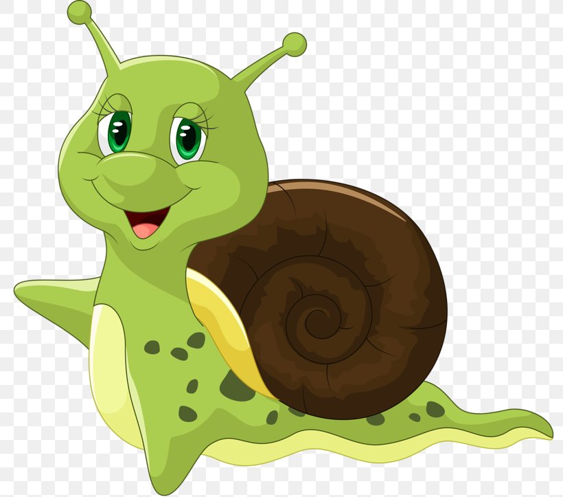 Snail Cartoon Royalty-free Illustration, PNG, 800x723px, Snail, Cartoon, Drawing, Fictional Character, Gastropod Shell Download Free