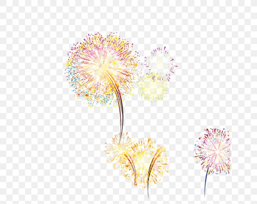 Adobe Fireworks, PNG, 650x650px, Adobe Fireworks, Color, Fireworks, Floral Design, Flower Download Free