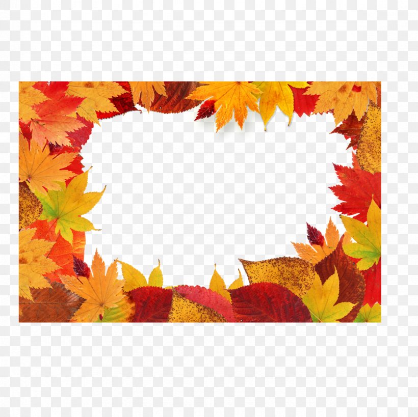 Autumn Leaf Color Clip Art, PNG, 2362x2362px, Autumn Leaf Color, Autumn, Display Resolution, Leaf, Maple Download Free
