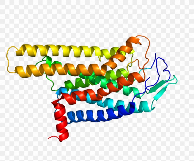 Melanocortin 4 Receptor Melanocortin Receptor G Protein–coupled Receptor, PNG, 922x768px, Receptor, Area, Body Jewelry, G Protein, G Proteincoupled Receptor Download Free