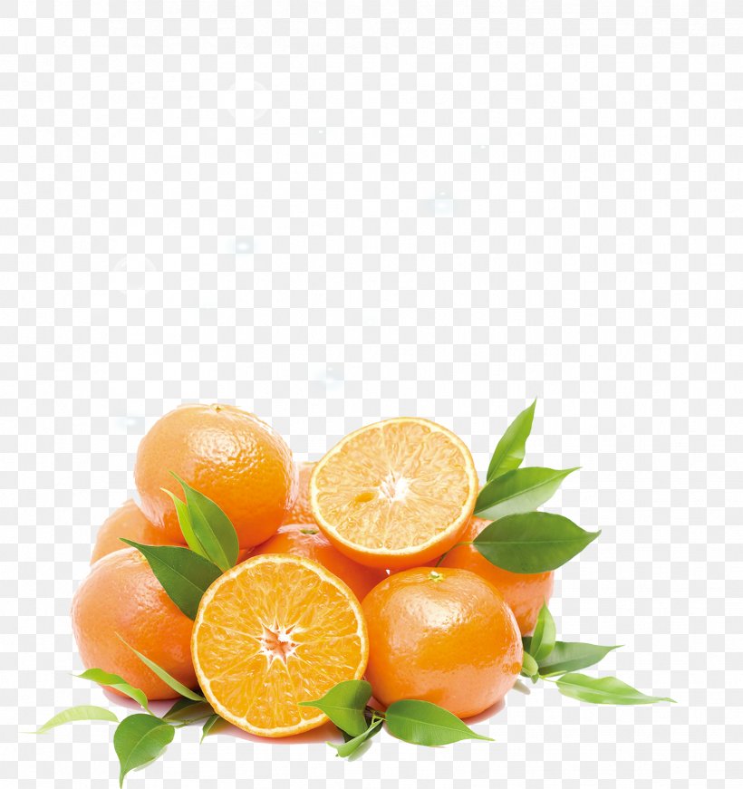 Orange Juice Fruit, PNG, 1761x1872px, Orange Juice, Citric Acid, Citrus, Clementine, Diet Food Download Free