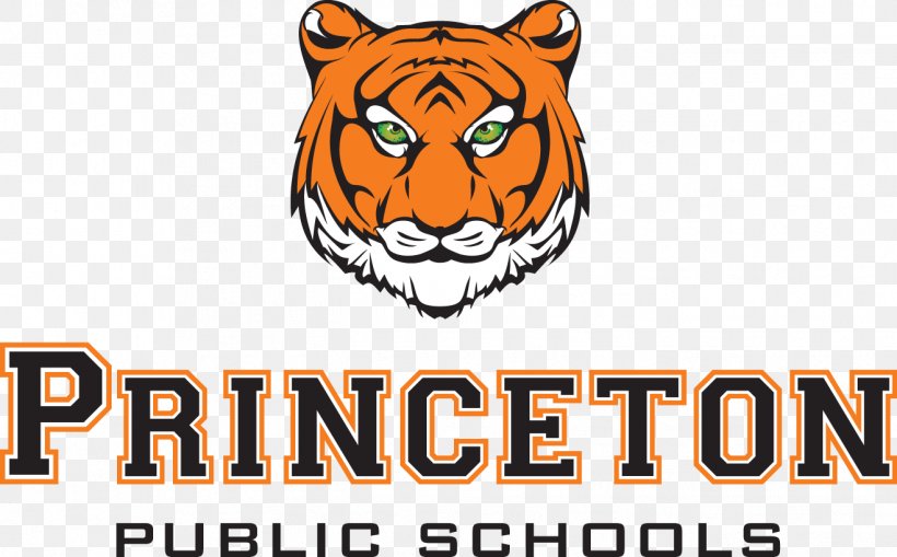 Princeton University School District State School National Secondary School, PNG, 1318x819px, Princeton University, Area, Big Cats, Brand, Carnivoran Download Free