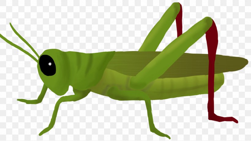 Ant Cartoon, PNG, 1600x900px, Grasshopper, Animal Figure, Ant And The Grasshopper, Cricket, Cricketlike Insect Download Free