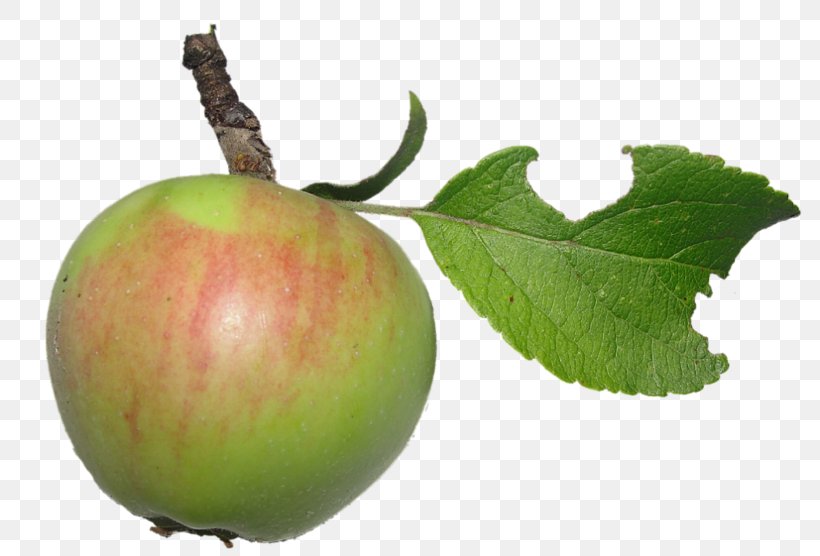 Apple Download Auglis, PNG, 800x556px, Apple, Auglis, Food, Fruit, Fruit Tree Download Free