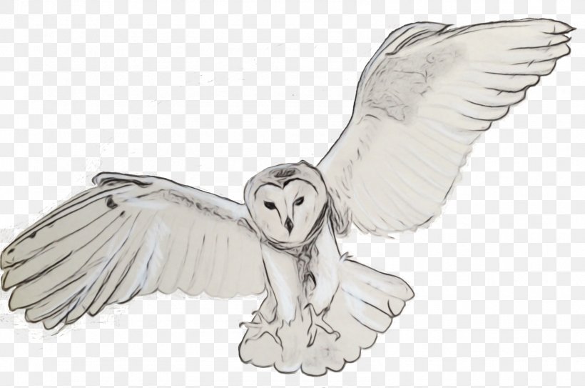 Barn Owl Snowy Owl Line Art Owl Wing, PNG, 1584x1049px, Watercolor, Angel, Barn Owl, Drawing, Fictional Character Download Free