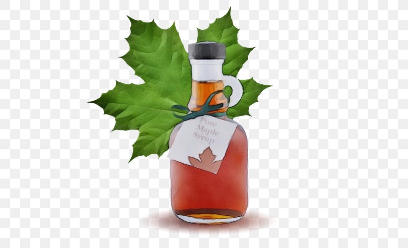 Red Maple Tree, PNG, 500x500px, Watercolor, Bottle, Canadian Cuisine, Canadian Gold Maple Leaf, Distilled Beverage Download Free