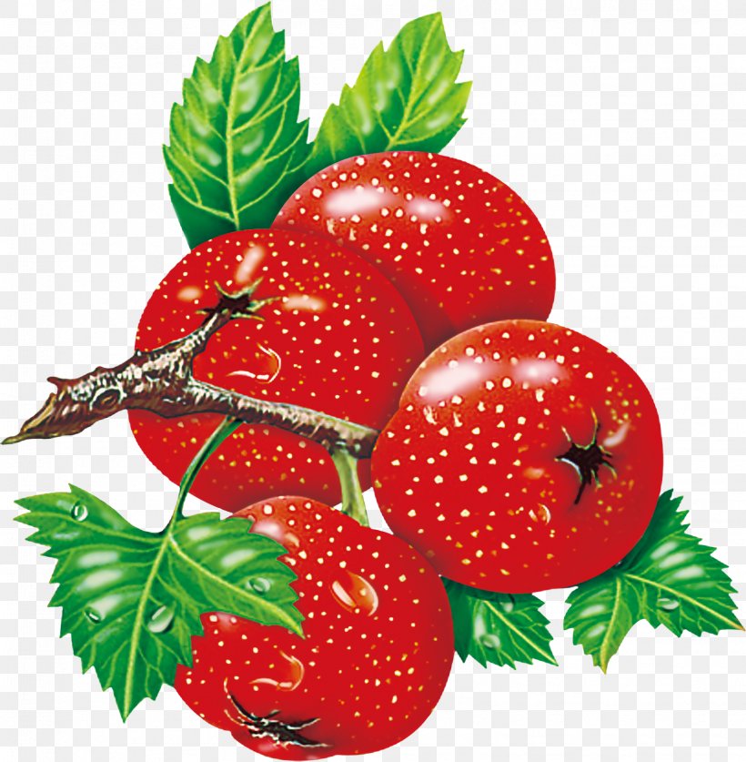 Strawberry Download, PNG, 1607x1641px, Strawberry, Accessory Fruit, Berry, Cherry, Food Download Free