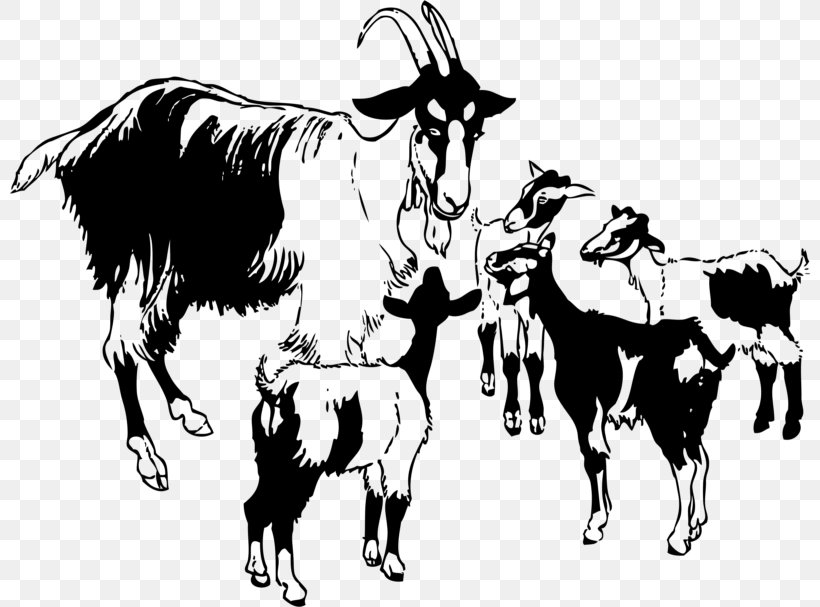 Black Bengal Goat Boer Goat Sheep Poitou Goat Clip Art, PNG, 800x607px, Black Bengal Goat, Art, Black And White, Boer Goat, Bull Download Free