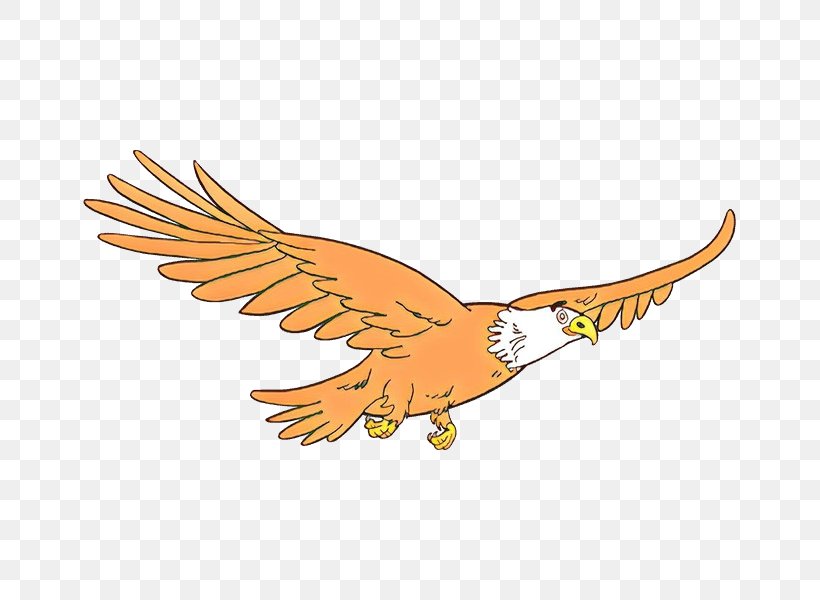 Eagle Logo, PNG, 678x600px, Cartoon, Accipitridae, Accipitriformes, Animal Figure, Bald Eagle Download Free