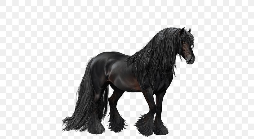 Mane Mustang Stallion Mare Pony, PNG, 600x450px, Mane, Black And White, Halter, Horse, Horse Like Mammal Download Free
