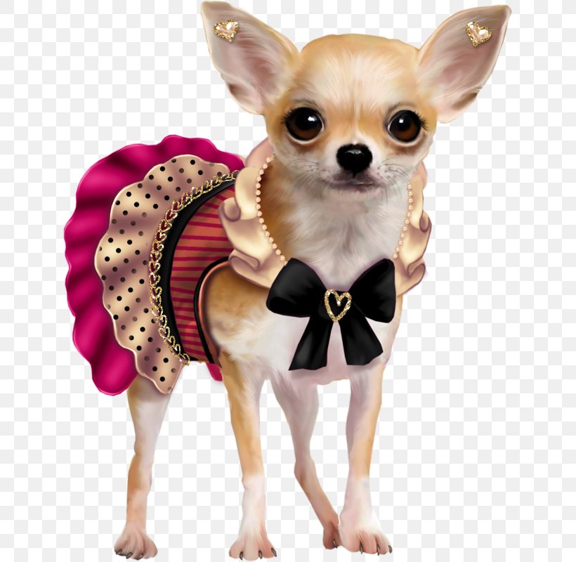 Puppy Chihuahua French Bulldog Clip Art, PNG, 639x800px, Puppy, Animal, Carnivoran, Chihuahua, Companion Dog Download Free
