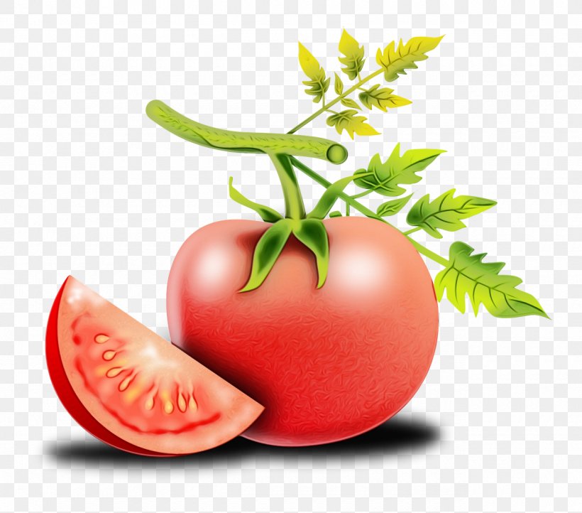 Tomato, PNG, 1280x1128px, Watercolor, Bush Tomato, Flowering Plant, Food, Fruit Download Free