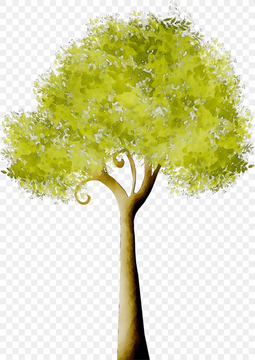 Tree Branch GIF Image, PNG, 1255x1775px, Tree, Birch, Branch, Drawing, Flower Download Free