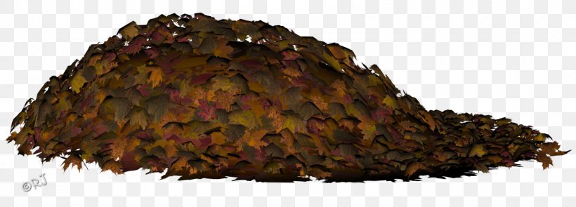 Autumn Leaf Color Tree Autumn Leaf Color, PNG, 1600x576px, Autumn, Autumn Leaf Color, Extreme Makeover, Extreme Makeover Home Edition, Leaf Download Free