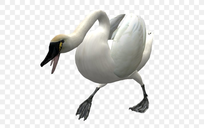 Duck Goose Bird Mute Swan Cygnini, PNG, 577x515px, Duck, Beak, Bird, Cygnini, Ducks Geese And Swans Download Free