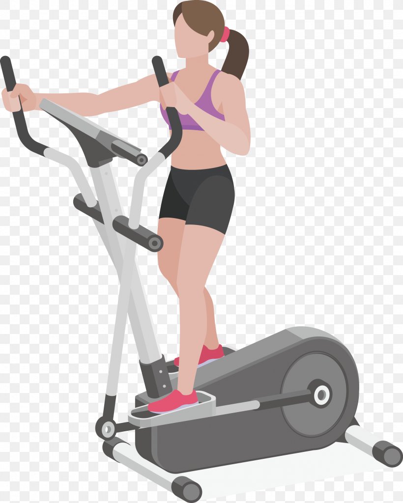 Elliptical Trainer Physical Fitness Fitness Centre Physical Exercise, PNG, 2560x3199px, Watercolor, Cartoon, Flower, Frame, Heart Download Free