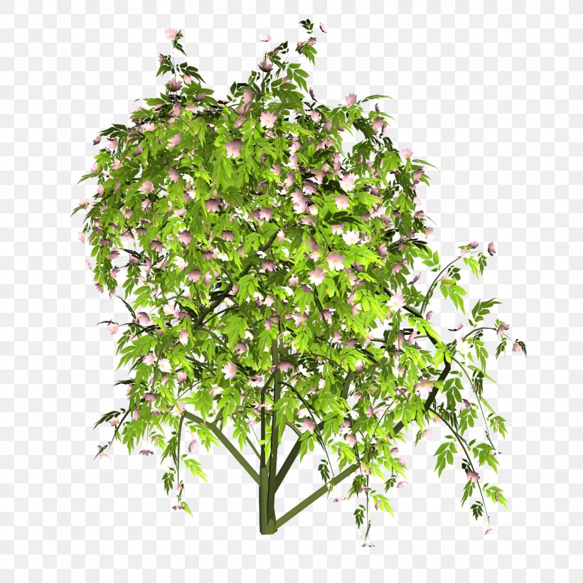 Flowerpot Herb Shrub Branching, PNG, 1438x1438px, Flowerpot, Branch, Branching, Herb, Plant Download Free