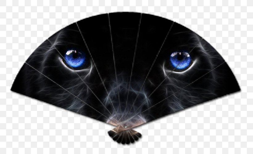 Jaguar Leopard Black Panther Kitten Cat, PNG, 800x500px, Jaguar, Animal, Big Cat, Black Cat, Black Panther Download Free