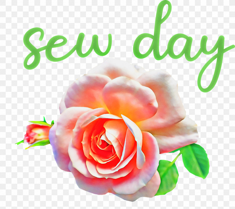 Sew Day, PNG, 3000x2665px, Floral Design, Cabbage Rose, Cut Flowers, Flower, Garden Download Free