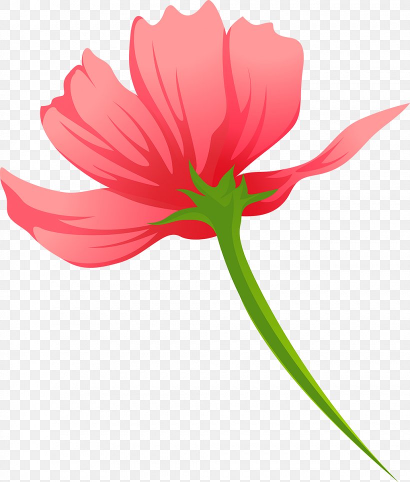 Tulip Cut Flowers Plant Stem Petal, PNG, 1020x1200px, Tulip, Cut Flowers, Flower, Flowering Plant, Petal Download Free
