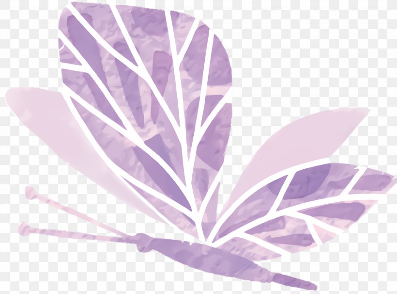 Violet Flower, PNG, 2048x1516px, Leaf, Flower, Petal, Plant, Purple Download Free