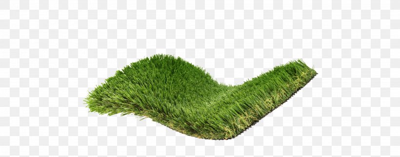 Artificial Turf Lawn Scutch Grass Carpet Mat, PNG, 3840x1516px, Artificial Turf, Carpet, Font Awesome, Grass, Grass Family Download Free