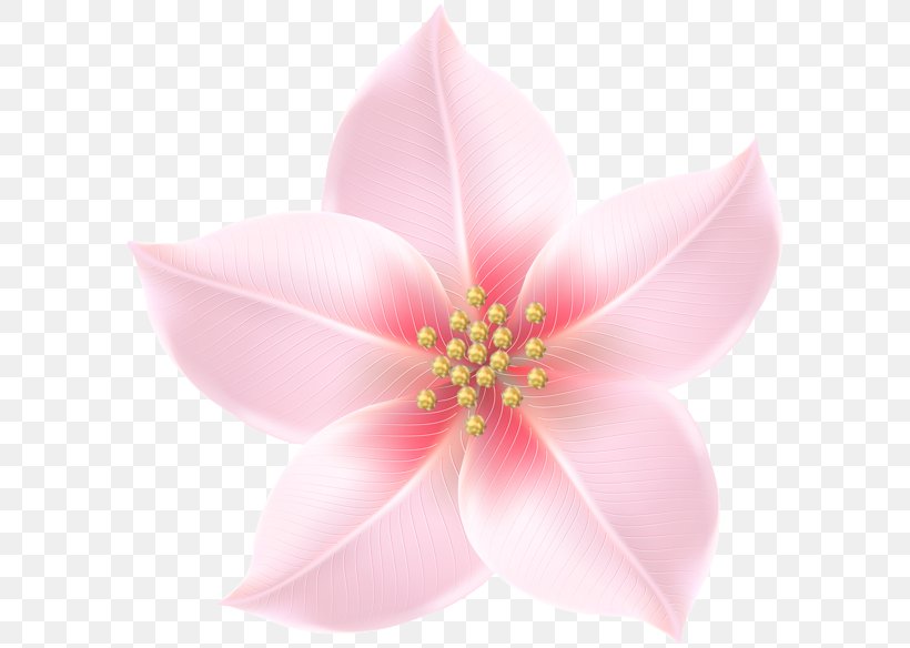 Clip Art Image Transparency Flower, PNG, 600x584px, Flower, Aquatic Plant, Blossom, Eye, Flowering Plant Download Free