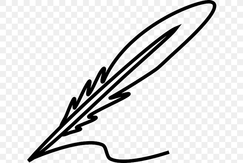 Feather Quill Clip Art, PNG, 640x551px, Feather, Artwork, Black And White, Branch, Color Download Free