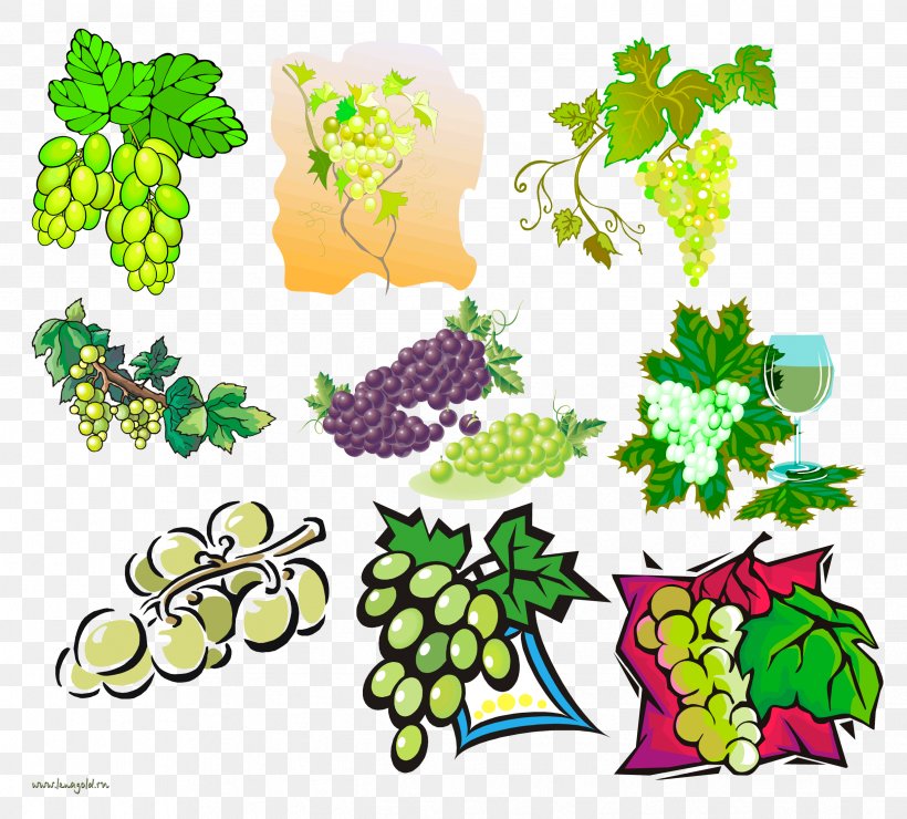 Grape Clip Art, PNG, 2483x2241px, Grape, Area, Art, Artwork, Branch Download Free