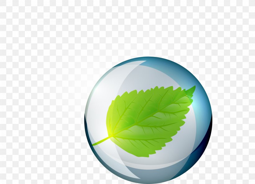 Green Leaf Circle Water Wallpaper, PNG, 2000x1451px, Green, Computer, Leaf, Water Download Free