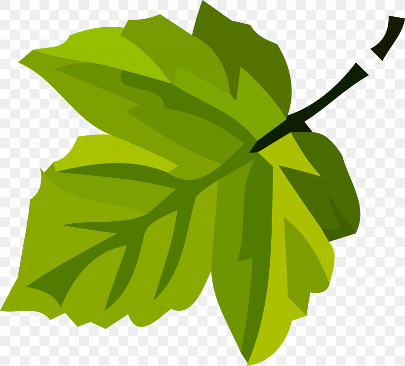 Leaf, PNG, 3000x2711px, Leaf, Flower, Green, Plane, Plant Download Free