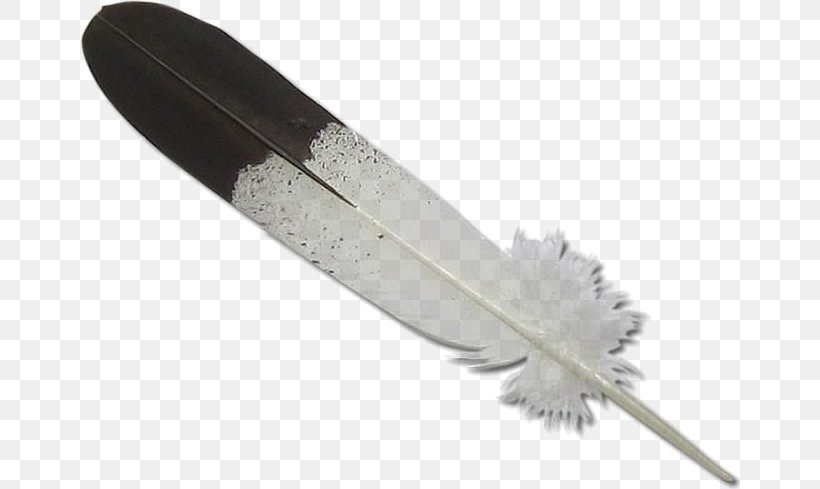 Bald Eagle Eagle Feather Law Clip Art, PNG, 663x489px, Bald Eagle, Art, Drawing, Eagle, Eagle Feather Law Download Free