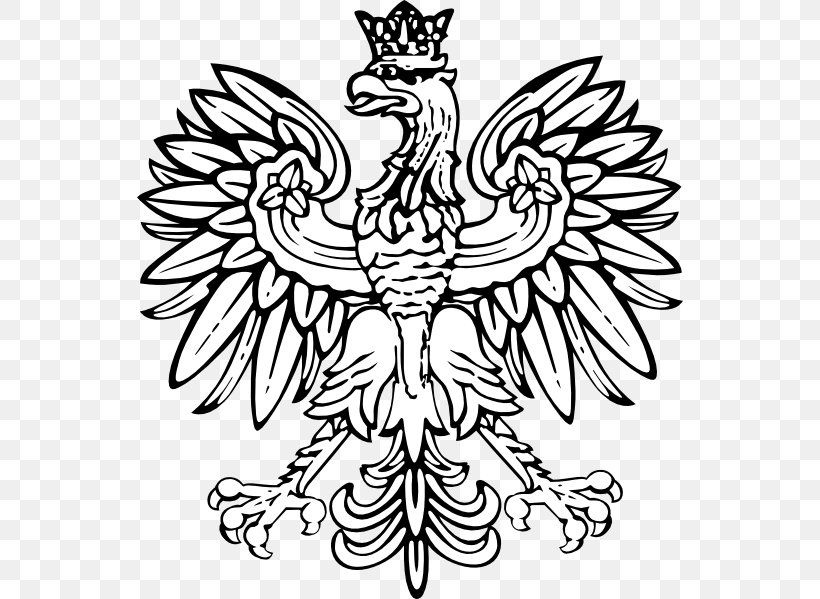 Coat Of Arms Of Poland Eagle Clip Art, PNG, 546x599px, Poland, Art, Artwork, Beak, Bird Download Free